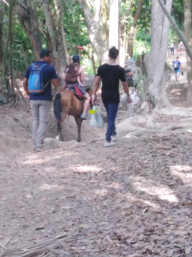 Sierra Tayrona Hostel الزينو المظهر الخارجي الصورة