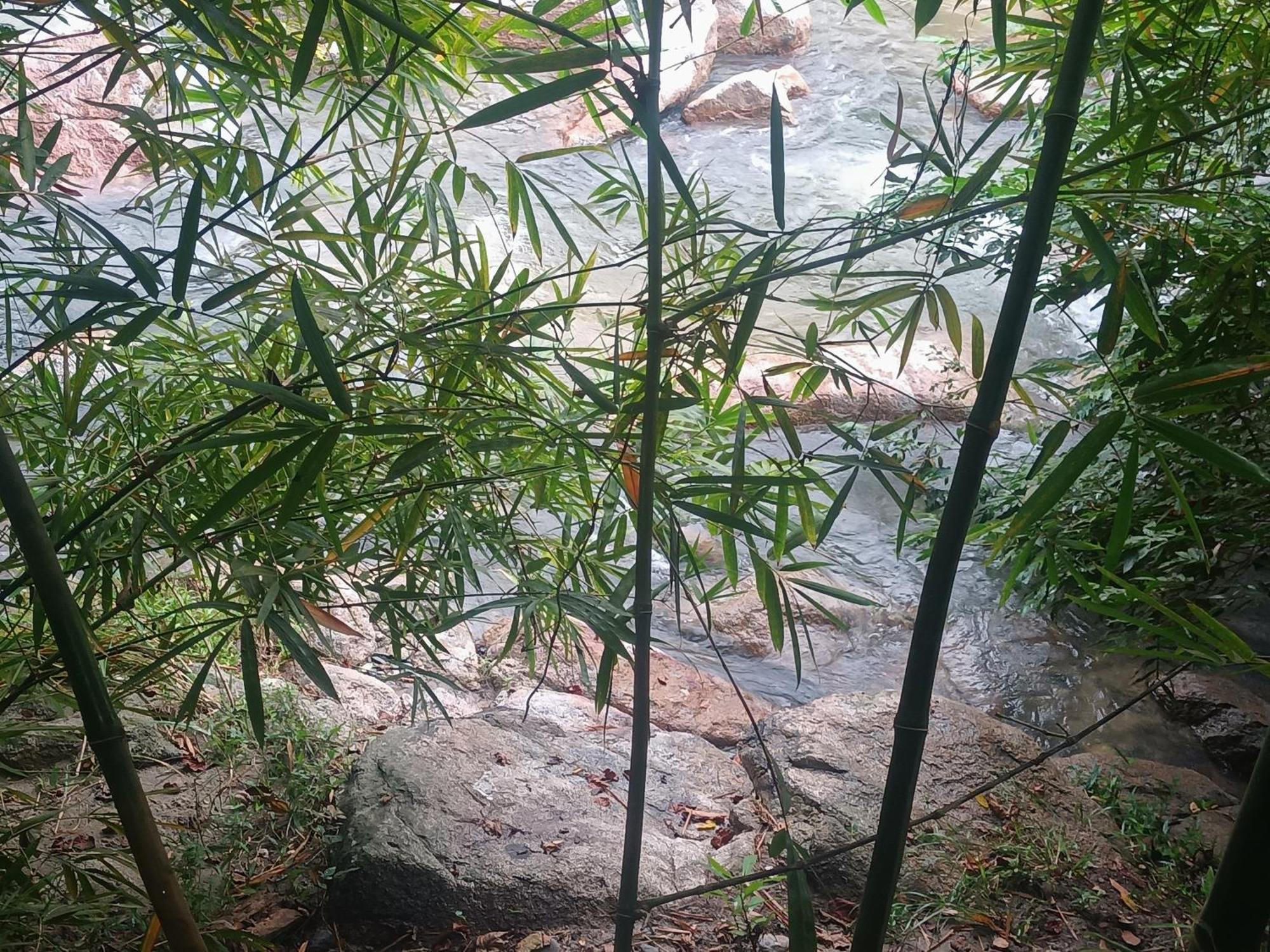 Sierra Tayrona Hostel الزينو المظهر الخارجي الصورة
