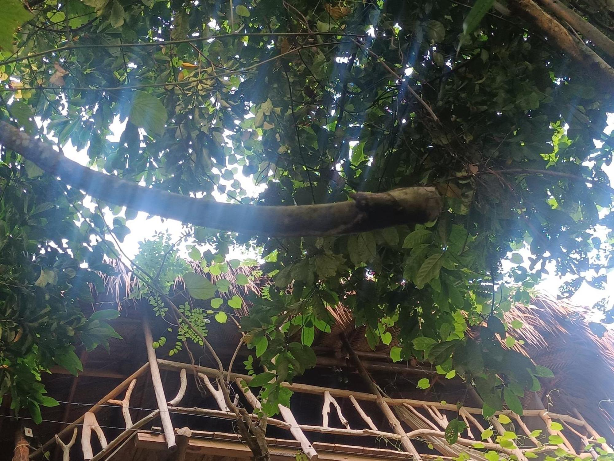 Sierra Tayrona Hostel الزينو المظهر الخارجي الصورة