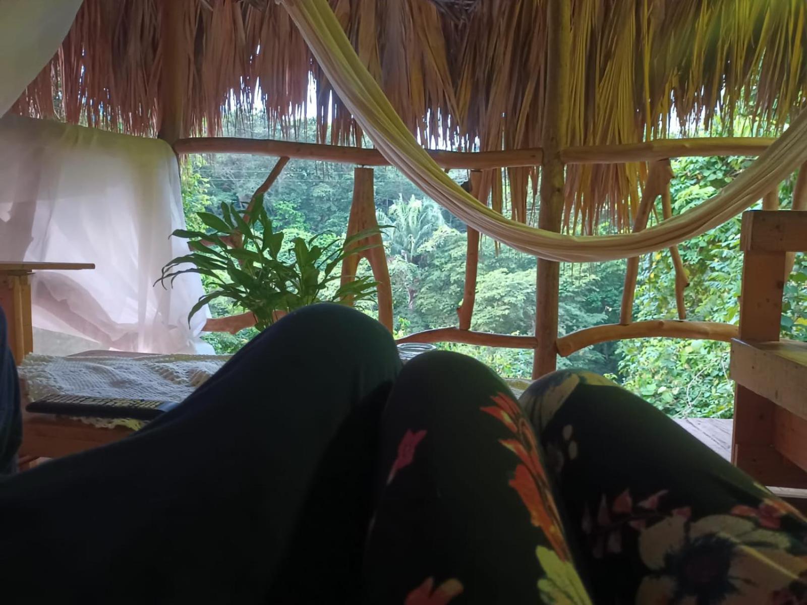 Sierra Tayrona Hostel الزينو المظهر الخارجي الصورة