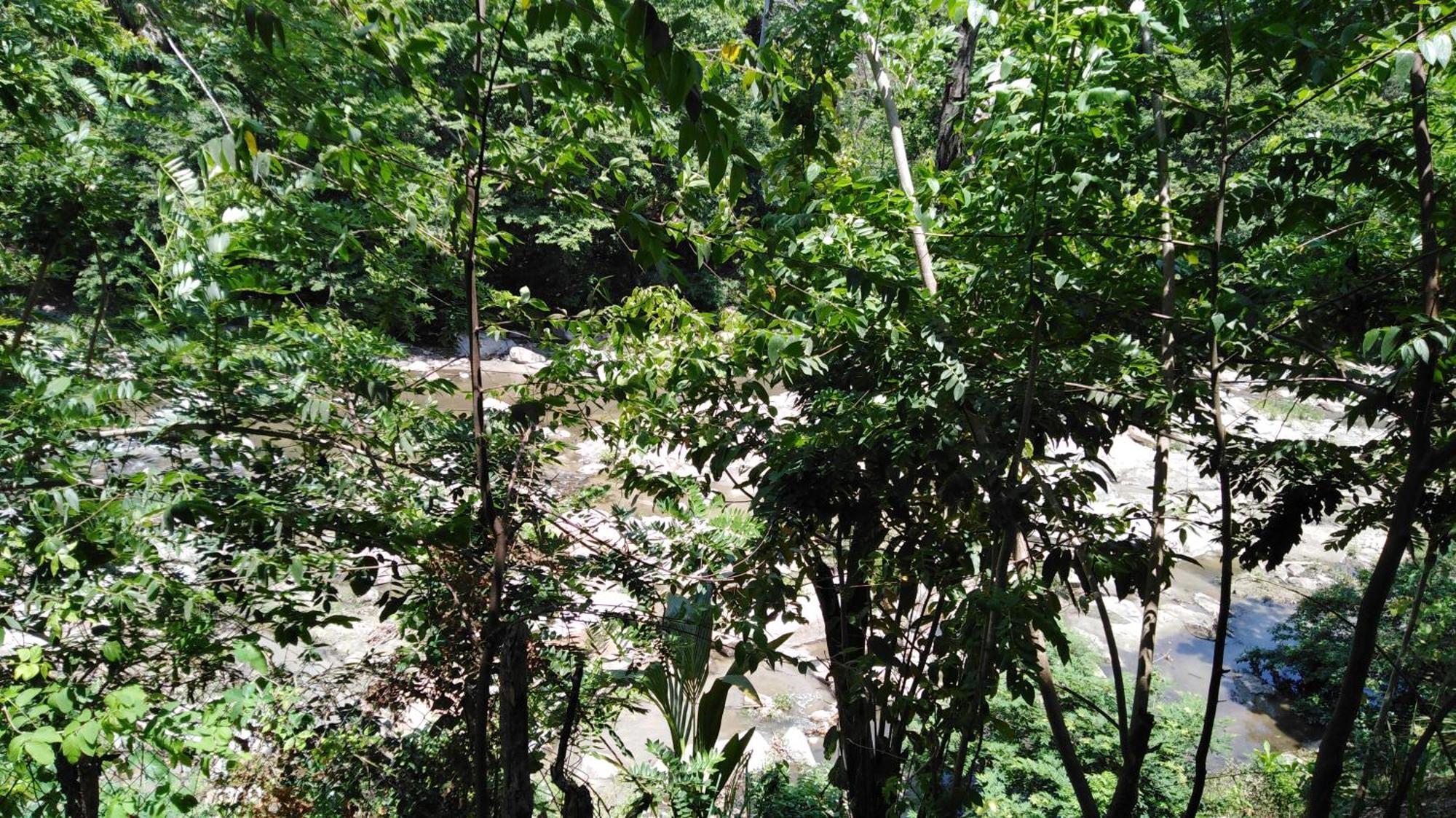 Sierra Tayrona Hostel الزينو المظهر الخارجي الصورة