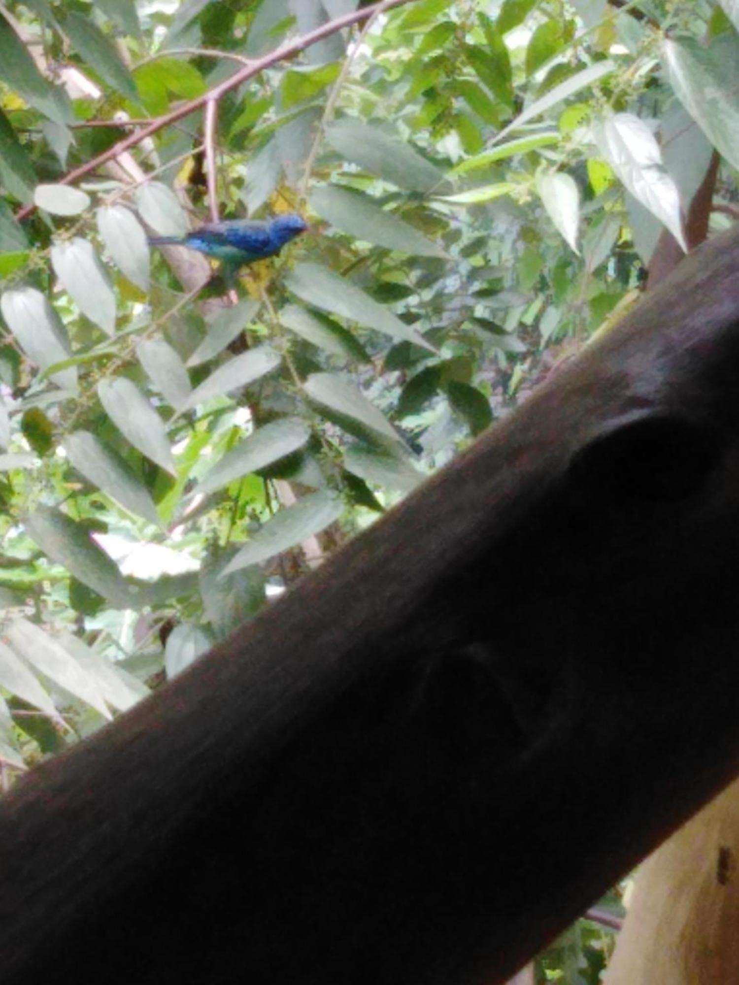 Sierra Tayrona Hostel الزينو المظهر الخارجي الصورة