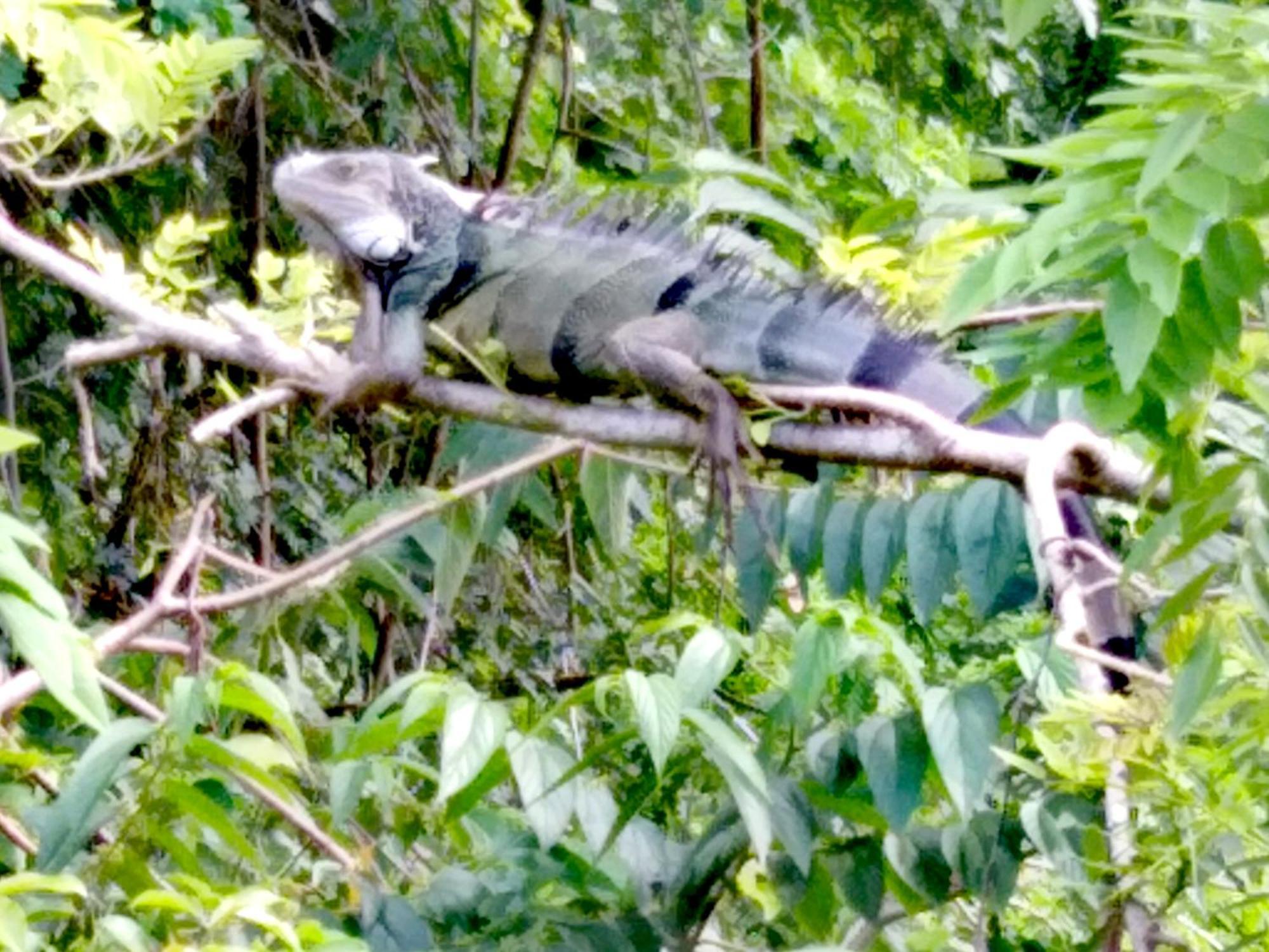 Sierra Tayrona Hostel الزينو المظهر الخارجي الصورة