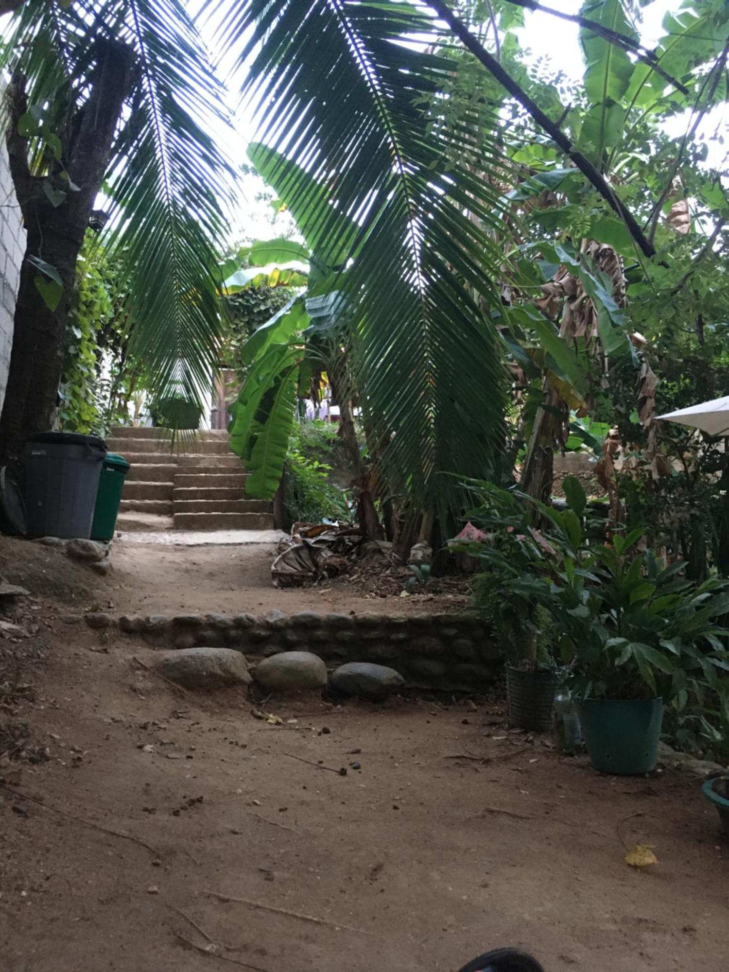 Sierra Tayrona Hostel الزينو المظهر الخارجي الصورة